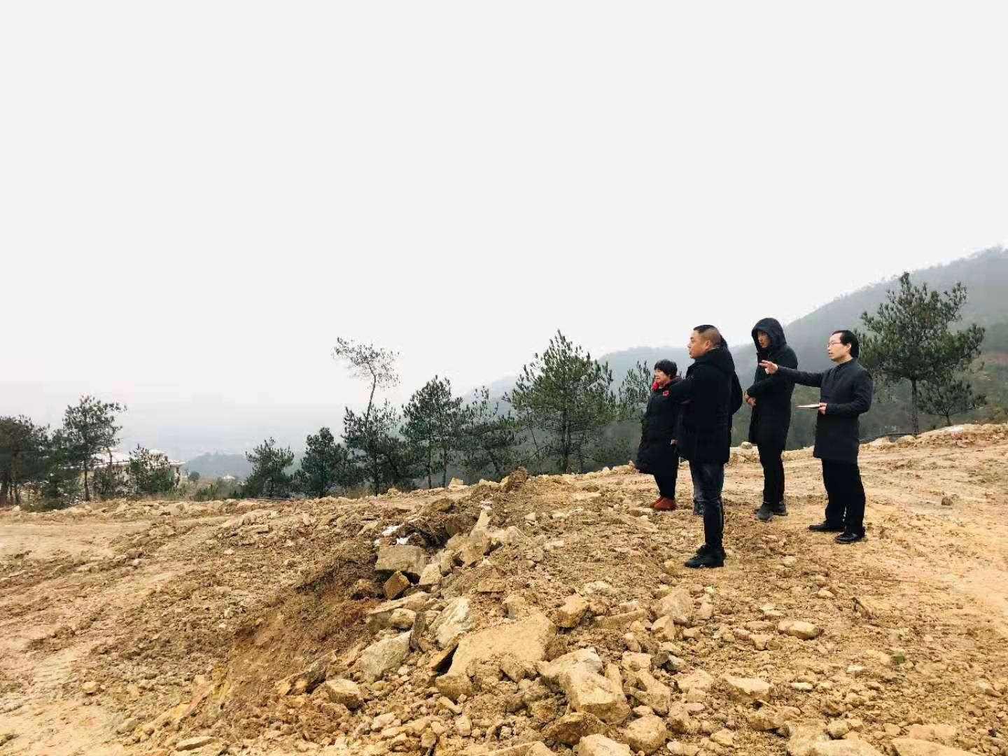 风水咨询,住宅，办公，公司，厂房，生产车间